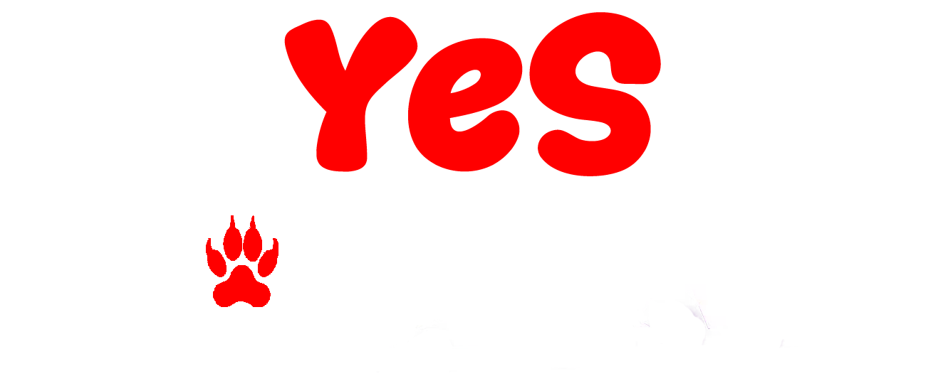 YeS-CougAr